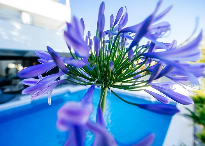 Villa Felicita, Biograd Na Moru, Zadar *