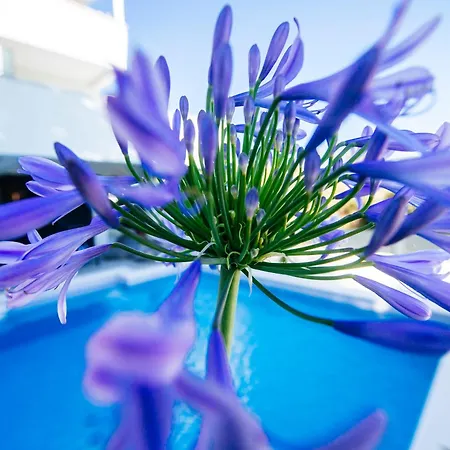 Villa Felicità, Biograd Na Moru, Zadar *